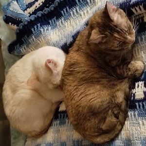 Meet your Posher, Nancy